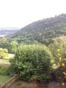The view from my window at Arvon